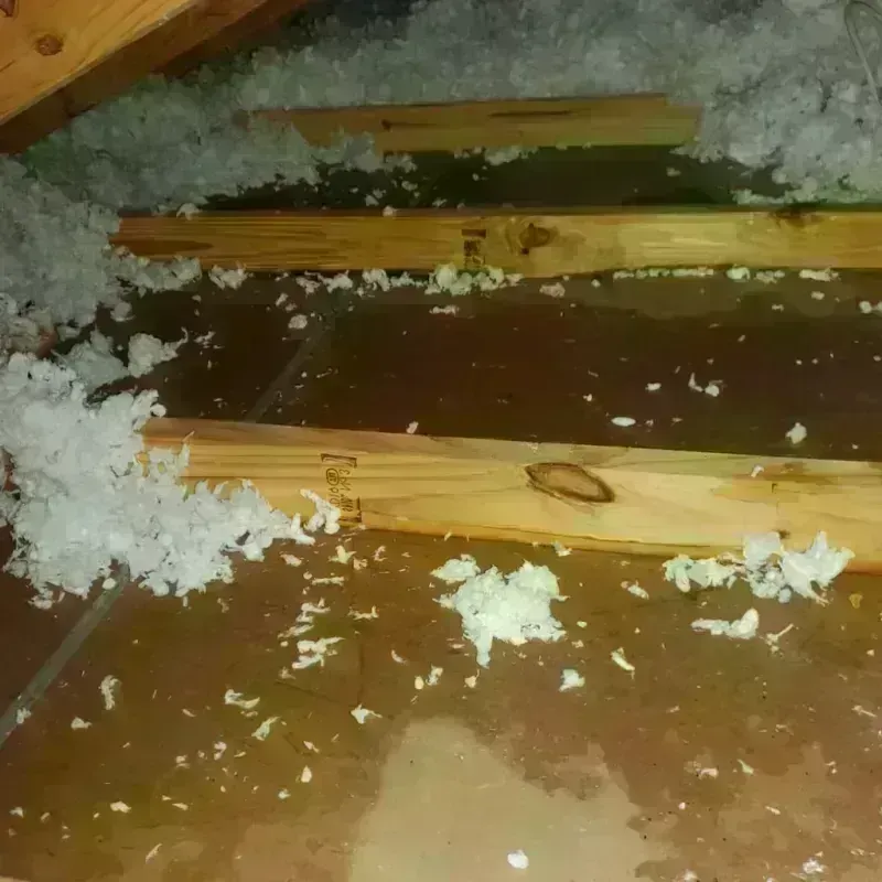 Attic Water Damage in Quincy, MA